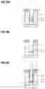 Fig. 10 - Plasma processing method and plasma processing apparatus