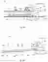 Fig. 07 - Chuck assembly, planarization process, apparatus and method of manufacturing an article