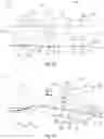 Fig. 12 - Chuck assembly, planarization process, apparatus and method of manufacturing an article