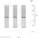 Fig. 06 - Method for manufacturing semiconductor memory having reduced interference between bit lines and word lines