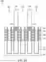 Fig. 14 - Semiconductor device structure