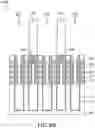 Fig. 42 - Semiconductor device structure