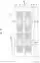Fig. 43 - Vertical memory device