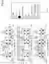 Fig. 03 - 2-port SRAM comprising a CFET