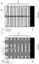 Fig. 17 - Fabricating three-dimensional semiconductor structures