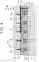 Fig. 07 - Photoelectric conversion apparatus and equipment including the same