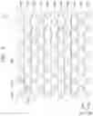 Fig. 06 - Electronic device including a protection layer