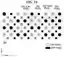 Fig. 15 - Display panel and display device using same