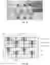 Fig. 09 - Display panel and manufacturing method thereof, and display device