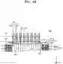 Fig. 08 - Display panel and display apparatus including the same