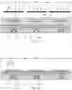 Fig. 10 - Display Panel and Manufacturing Method thereof, and Electronic Device