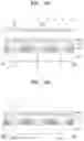 Fig. 04 - Organic light-emitting display apparatus and method of manufacturing the same