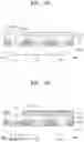 Fig. 05 - Organic light-emitting display apparatus and method of manufacturing the same