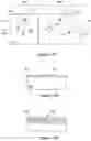 Fig. 11 - Contacts for semiconductor devices and methods of forming the same