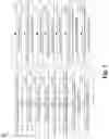 Fig. 02 - Dielectric fin structure