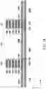 Fig. 43 - Semiconductor device and manufacturing method thereof