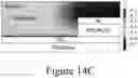 Fig. 36 - All-back-contact perovskite solar cells
