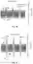 Fig. 10 - LATTICE ANCHORING STABILIZES SOLUTION-PROCESSED SEMICONDUCTORS