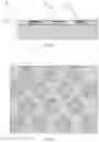 Fig. 03 - LIGHT-EMITTING DEVICE, TEMPLATE OF LIGHT-EMITTING DEVICE AND PREPARATION METHODS THEREOF