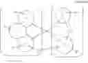 Fig. 466 - ORGANIC ELECTROLUMINESCENT MATERIALS AND DEVICES