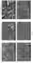 Fig. 07 - Ultrafast electrodeposition of carbon as a coating agent for lithium ion battery applications