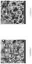 Fig. 10 - Ultrafast electrodeposition of carbon as a coating agent for lithium ion battery applications