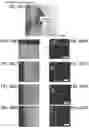 Fig. 41 - Positive Electrode Active Material, Method for Manufacturing Positive Electrode Active Material, and Secondary Battery