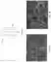 Fig. 04 - METALLIC LITHIUM BASED BATTERY ELECTRODES, FORMATION THEREOF, AND USES THEREOF