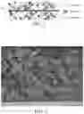Fig. 02 - Anode, and electrochemical device comprising the same