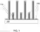 Fig. 02 - Structurally controlled deposition of silicon onto nanowires