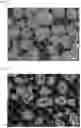 Fig. 04 - Method for manufacturing cathode active material for lithium ion secondary battery