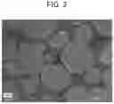 Fig. 03 - Positive electrode active material