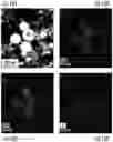 Fig. 20 - Compositions, systems and methods for producing nanoalloys and/or nanocomposites using tandem laser ablation synthesis in solution-galvanic replacement reaction