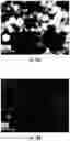 Fig. 29 - Compositions, systems and methods for producing nanoalloys and/or nanocomposites using tandem laser ablation synthesis in solution-galvanic replacement reaction