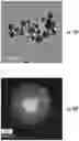 Fig. 31 - Compositions, systems and methods for producing nanoalloys and/or nanocomposites using tandem laser ablation synthesis in solution-galvanic replacement reaction