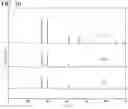 Fig. 49 - SOLID ELECTROLYTE, ELECTROLYTE LAYER AND BATTERY
