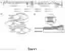 Fig. 02 - DYNAMICALLY-BONDED SUPRAMOLECULAR POLYMERS FOR STRETCHABLE BATTERIES