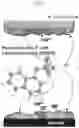 Fig. 02 - Electrolyte for lithium secondary battery and lithium secondary battery comprising same