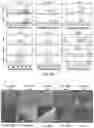 Fig. 26 - Electrolytes for lithium-ion batteries operating at extreme conditions