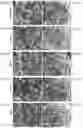 Fig. 27 - Electrolytes for lithium-ion batteries operating at extreme conditions