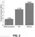 Fig. 04 - STRETCHABLE ELECTROCHEMICAL CELL