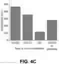 Fig. 07 - STRETCHABLE ELECTROCHEMICAL CELL