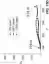 Fig. 18 - STRETCHABLE ELECTROCHEMICAL CELL