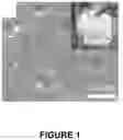 Fig. 02 - Electrolyte membrane for an alkali metal battery