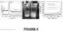 Fig. 09 - Electrolyte membrane for an alkali metal battery