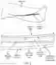 Fig. 03 - Modular eyewear antenna assembly