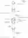 Fig. 05 - Tree pole connectors