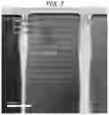 Fig. 06 - Light emitting device and projector