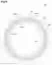 Fig. 10 - Stacked stator core