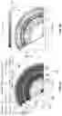 Fig. 06 - Moving coil brushless motor